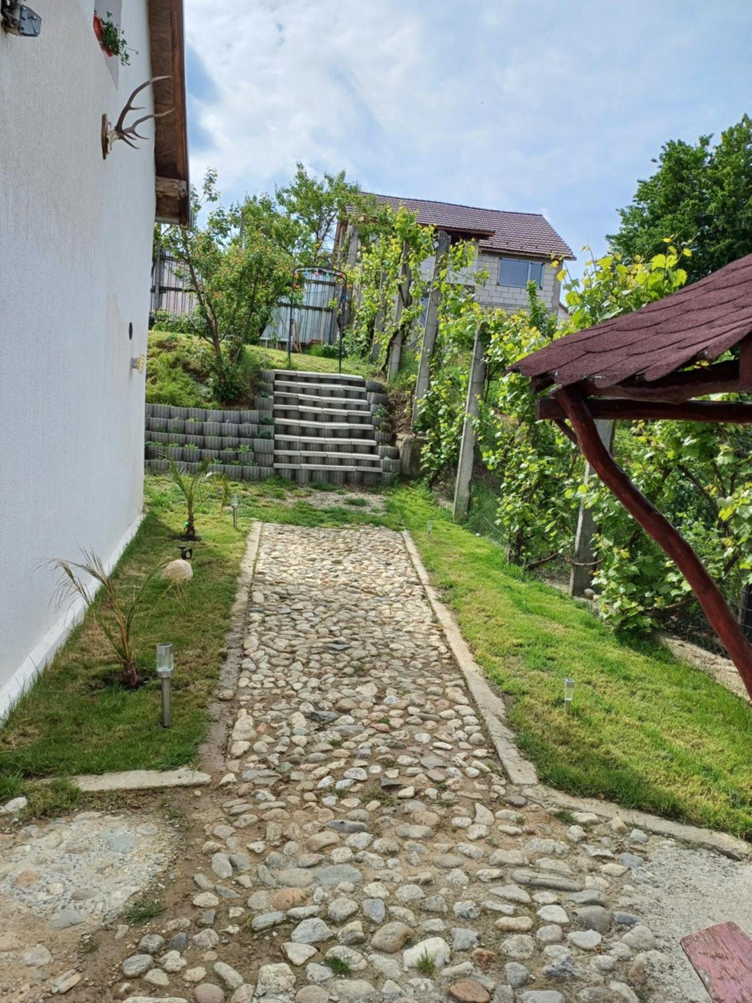 Cazare La Luiza B Sura Mare Luaran gambar